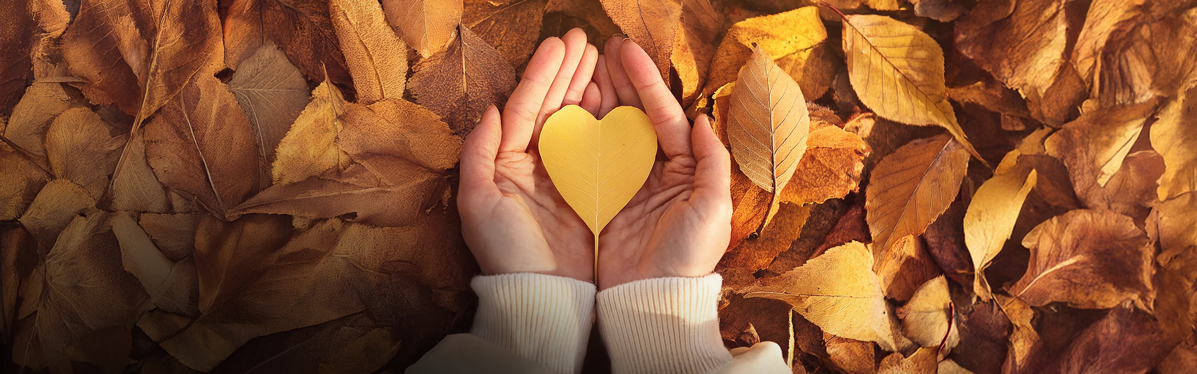 Bannière promotionnelle d’automne avec des mains tenant une feuille en forme de cœur sur un lit de feuilles dorées, symbole d’émotions, de douceur et de guidance.