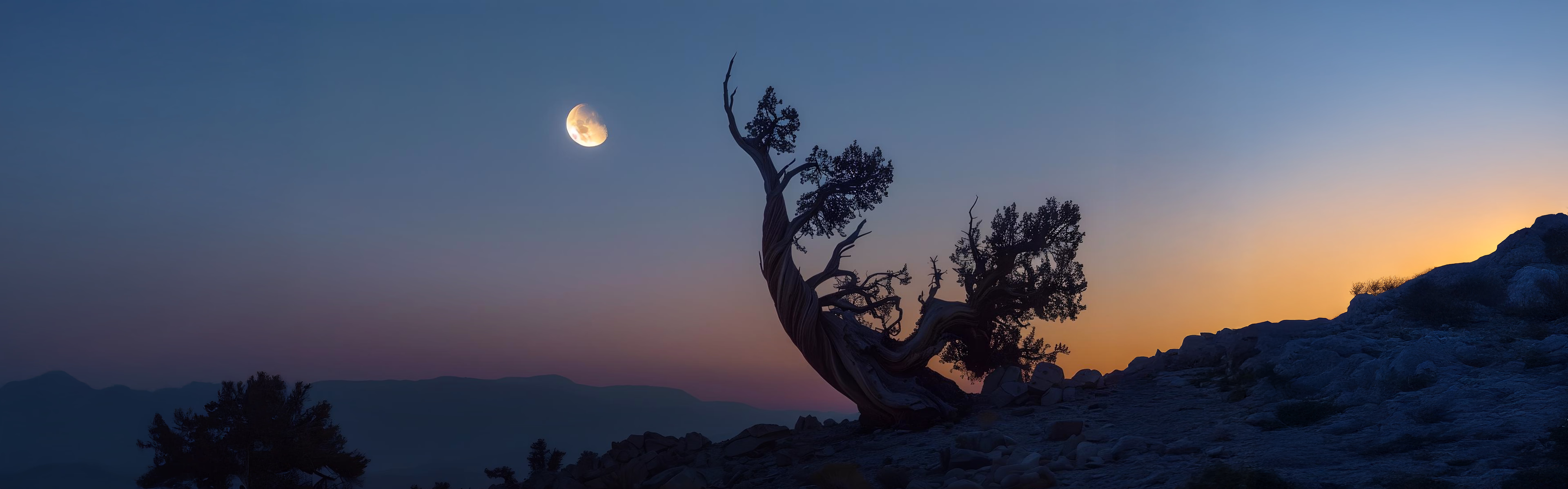 Bannière de la promotion de la pleine lune de juin montrant la lune dans un paysage nocturne avec une ambiance introspective